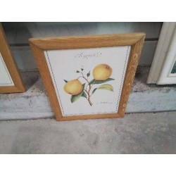 CADRE PM BOIS REPRO PLANTES