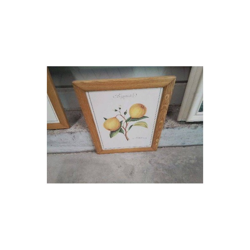 CADRE PM BOIS REPRO PLANTES