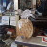 ANANAS PM VERRE 