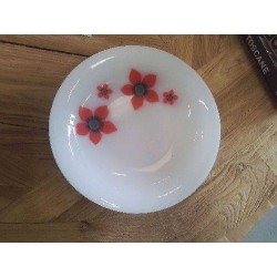 LOT ASSIETTES CREUSES ARCOPAL FLEURIES