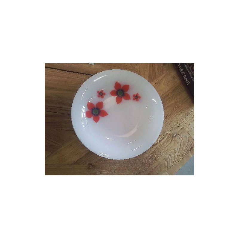 LOT ASSIETTES CREUSES ARCOPAL FLEURIES
