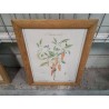 CADRE PM BOIS REPRO PLANTES