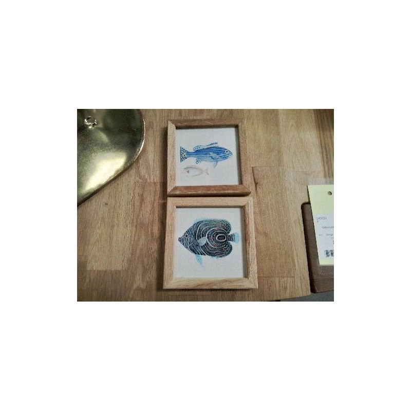 DUO CADRE POISSONS TPM