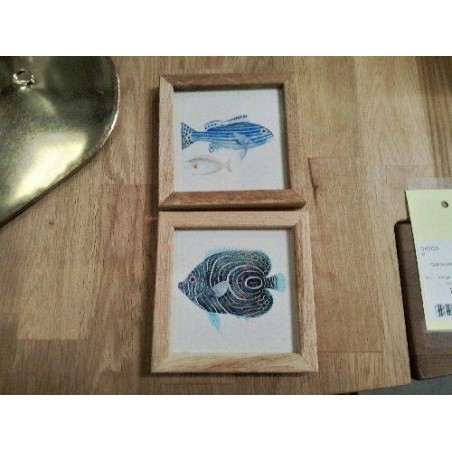 DUO CADRE POISSONS TPM