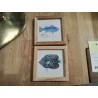 DUO CADRE POISSONS TPM