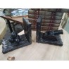 SERRE LIVRES BOIS CANON