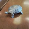TORTUE METAL PM