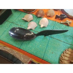 CUILLERE CORNE GM