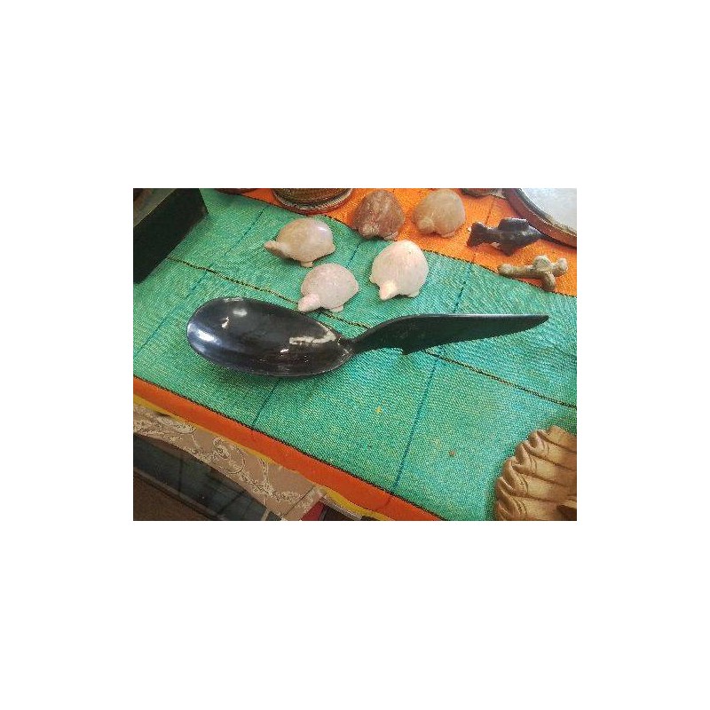 CUILLERE CORNE GM