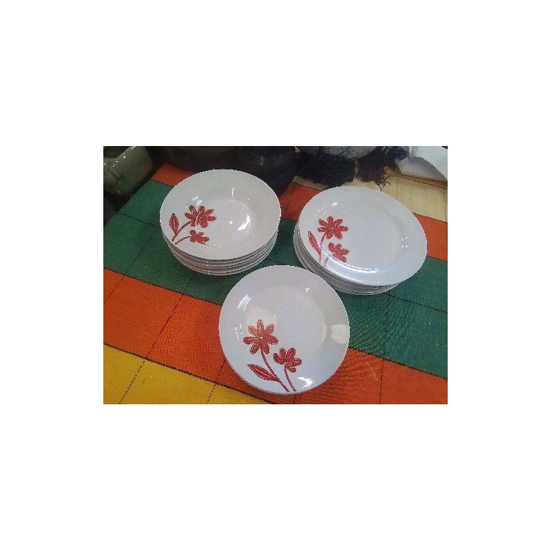 LOT ASSIETTES BLANC DECOR FLEURS ROUGES
