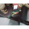 STATUETTE PERROQUET EN L’ETAT