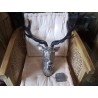 TETE METAL CERF + PLAQUE EN ACC