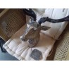 TETE METAL CERF + PLAQUE EN ACC