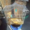 CAGE A OISEAUX