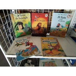 LIVRE ENFANT HISTOIRE