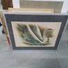 LITHO FEMME VISAGE ST GENIES
