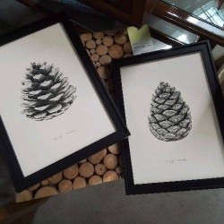 CADRE POMME PIN 