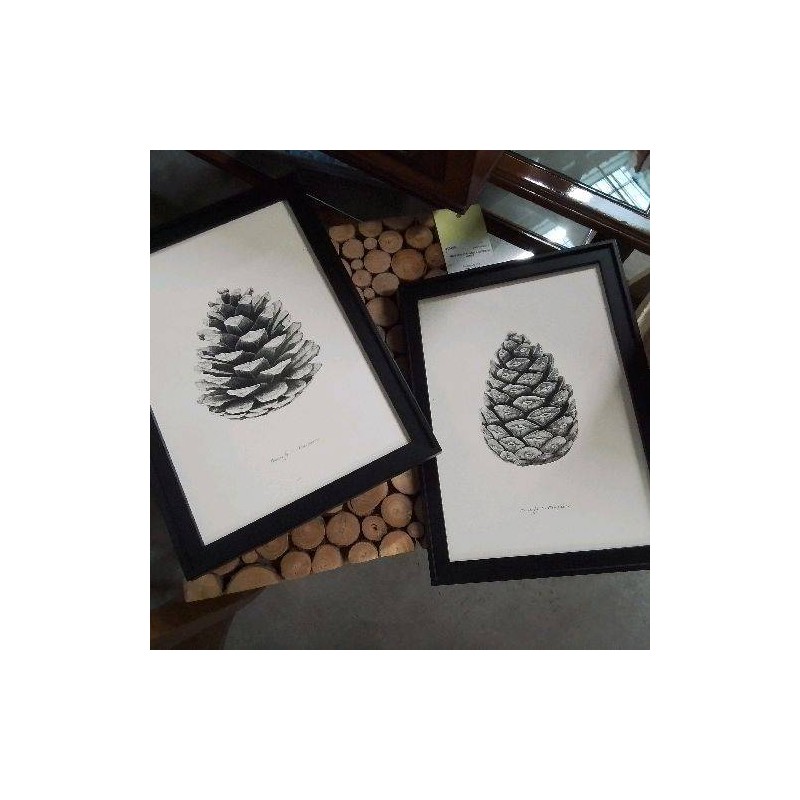 CADRE POMME PIN 