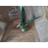 OISEAU DECO VERT MAISONS DU MONDE