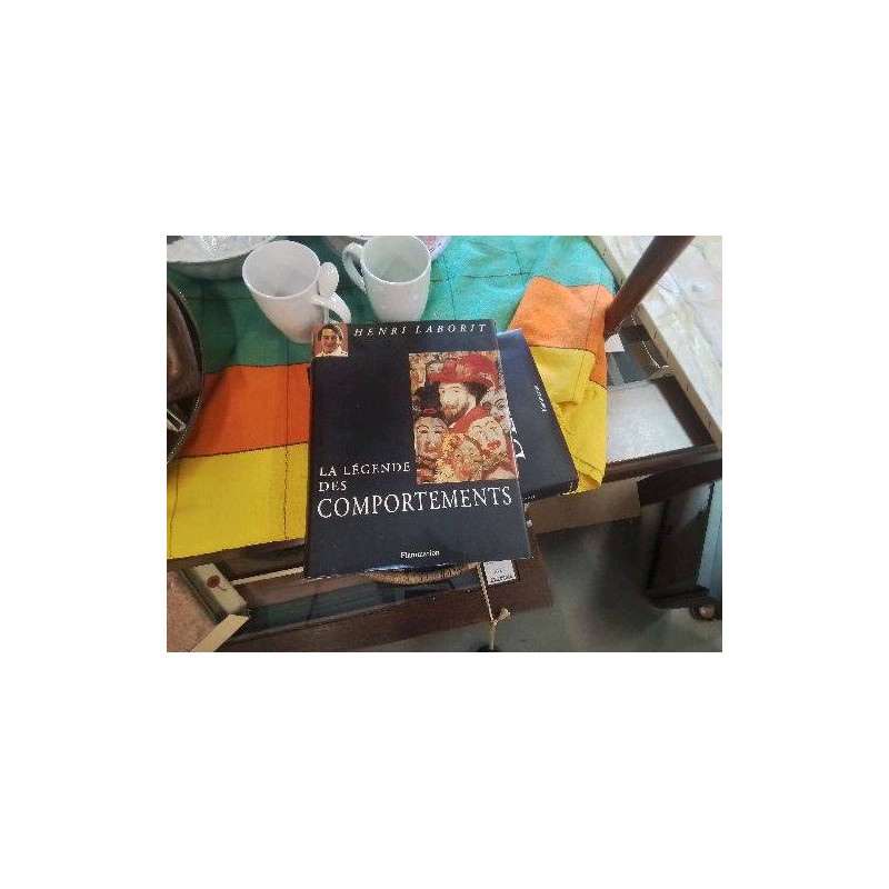 LIVRE D ART