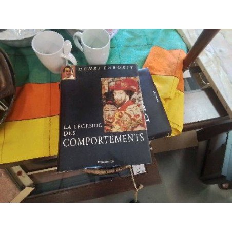 LIVRE D ART