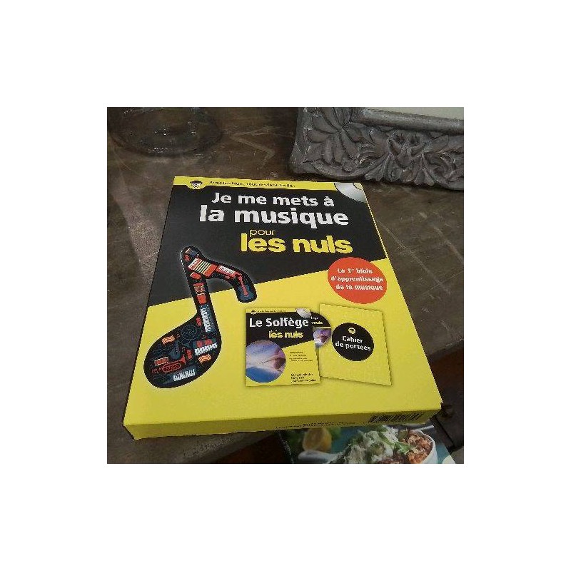 LIVRE DOC LA MUSIQUE POUR LES NULS