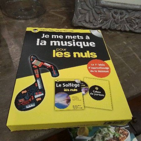 LIVRE DOC LA MUSIQUE POUR LES NULS