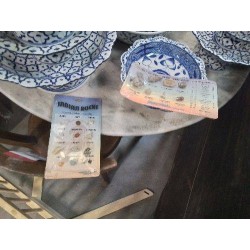 COLLEC FOSSILES/PIERRES