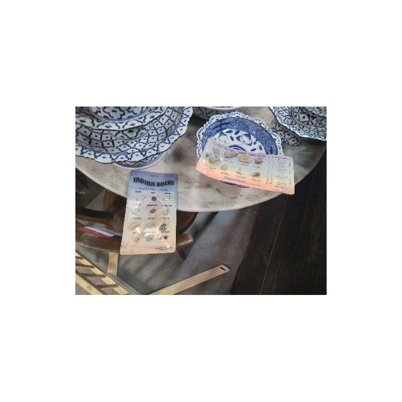 COLLEC FOSSILES/PIERRES