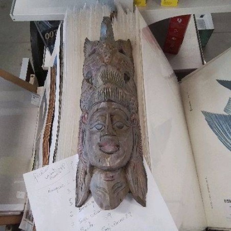 MASQUE INDO OISEAU 