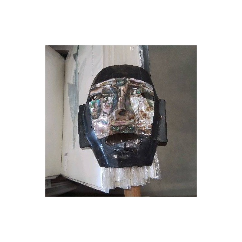MASQUE PM PIERRE IRISÉE 