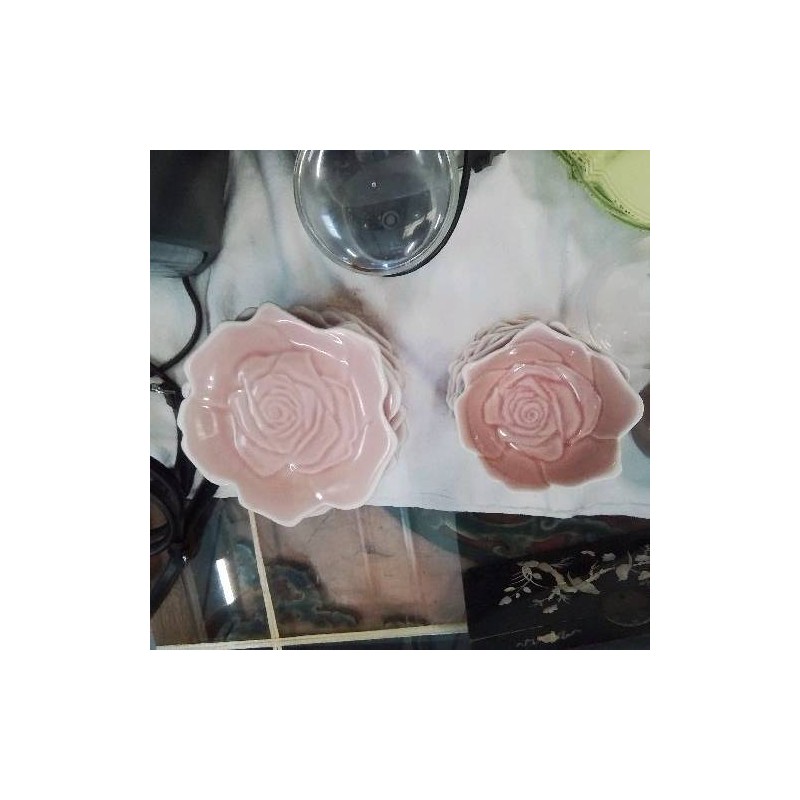 ENS ASSIETTES COUPELLES FORME ROSE