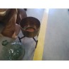 POT METAL DORÉ SUR SOCLE