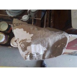 SAC CANTIAMO INSIEME
