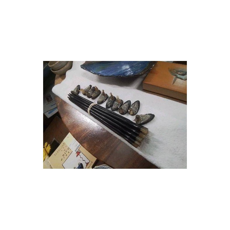 LOT CANARDS CORNE SUPPORTS +BAGUETTES 