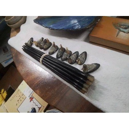LOT CANARDS CORNE SUPPORTS +BAGUETTES 