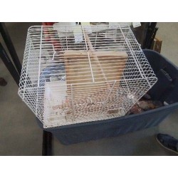 CAGE OISEAU BLANC PM