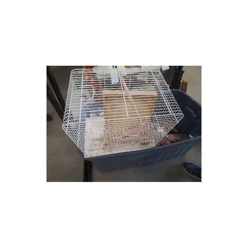 CAGE OISEAU BLANC PM
