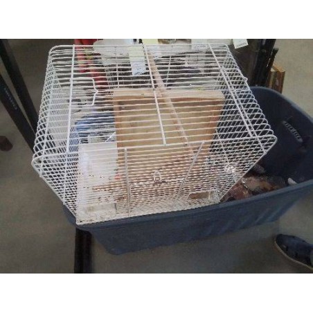 CAGE OISEAU BLANC PM