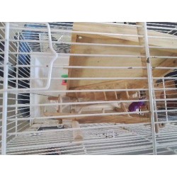 CAGE OISEAU BLANC PM