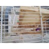 CAGE OISEAU BLANC PM