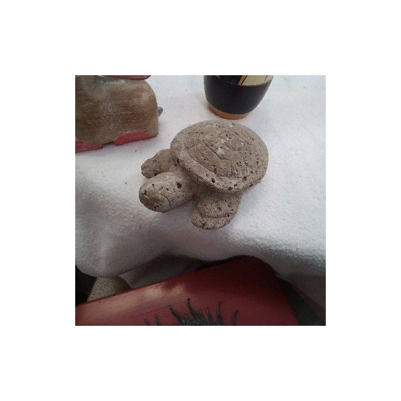 TORTUE PIERRE