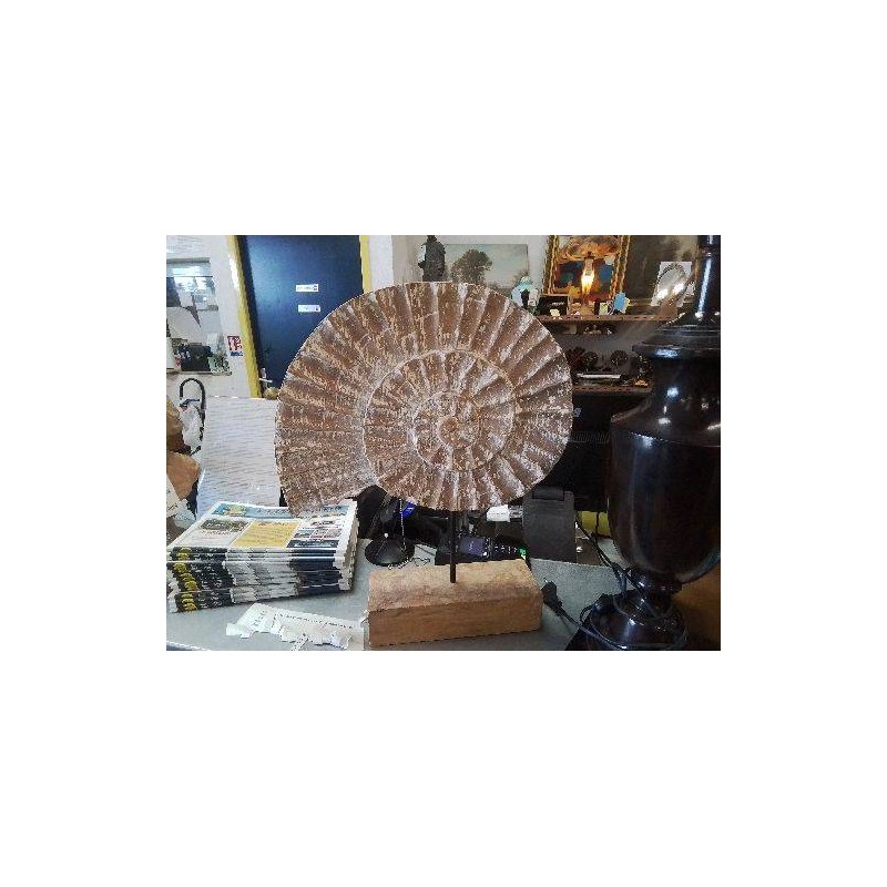 DÉCO COQUILLAGE TECK BLANCHI