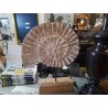 DÉCO COQUILLAGE TECK BLANCHI