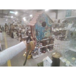 MAISON OISEAU DÉCO COULEURS 