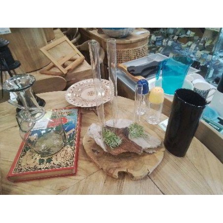 SOLIFLORE TRIPLE TUBE VERRE RACINE 