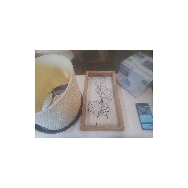 CADRE DECO FEUILLES METAL GINKGO BILOBA