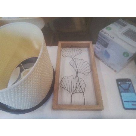 CADRE DECO FEUILLES METAL GINKGO BILOBA