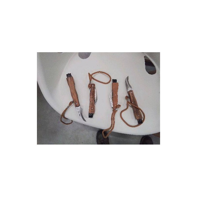 COUTEAU A CHAMPIGNON PLIANT