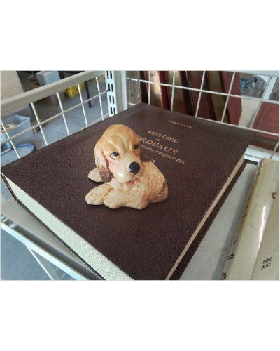 CHIEN RUSTY ANGLAIS